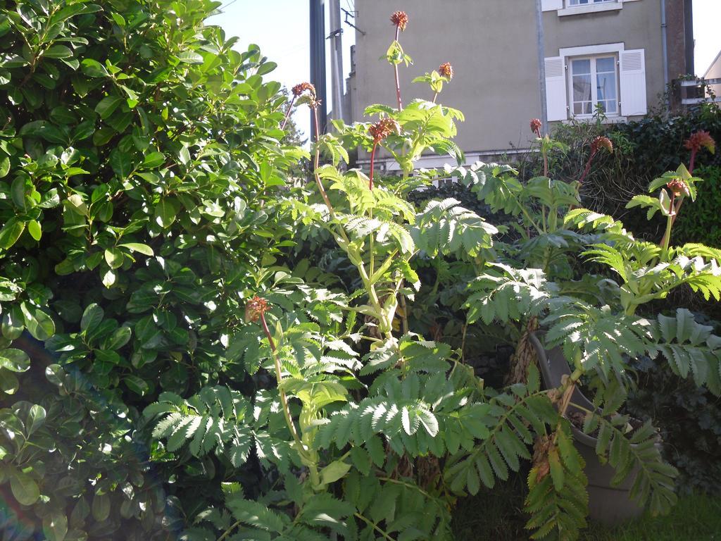 Appartement La Loob Gites De Daumesnil Etage Morlaix Oda fotoğraf